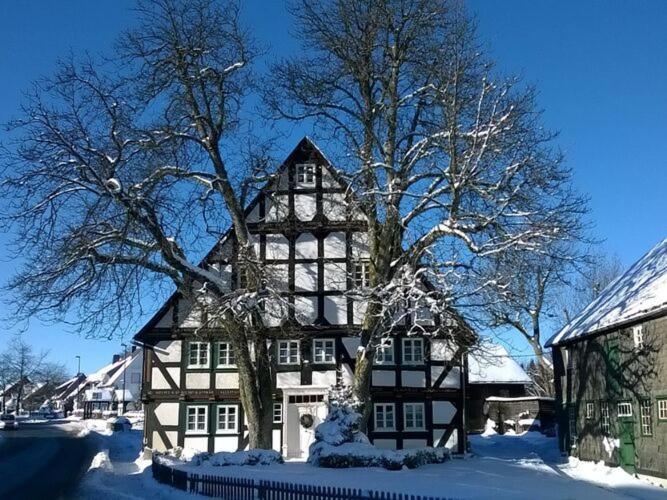 Home In Wissinghausen With Private Sauna Medebach Extérieur photo